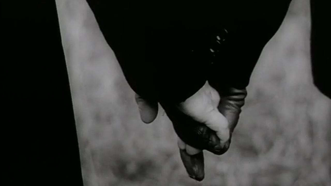 Backdrop image for movie The Garden