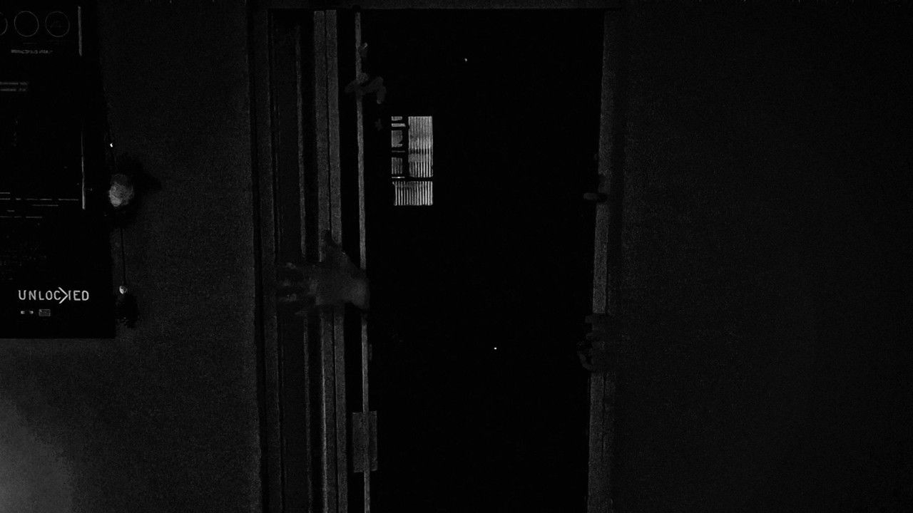 Backdrop image for movie DEATH SENTENCE: LUCIDITY