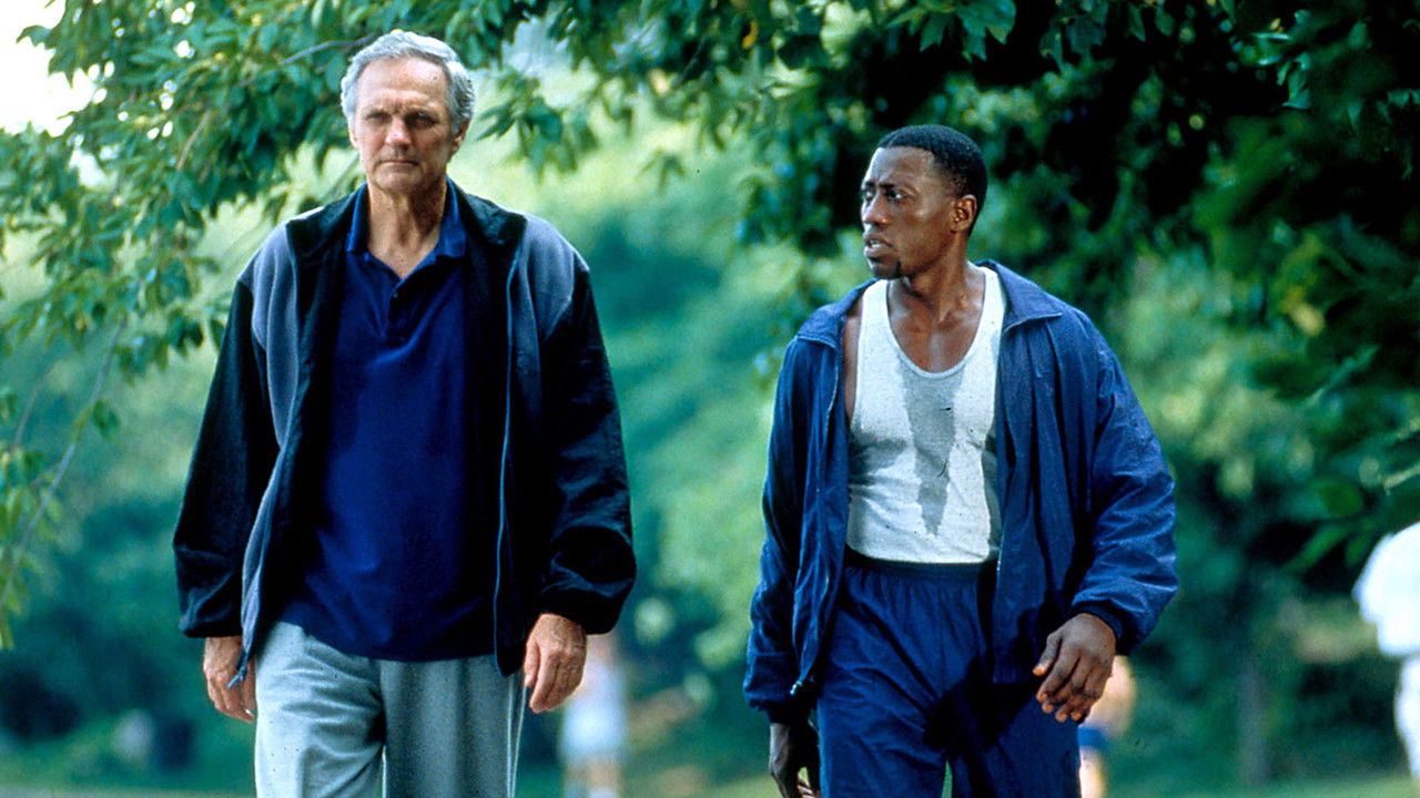 Backdrop image for movie Murder at 1600