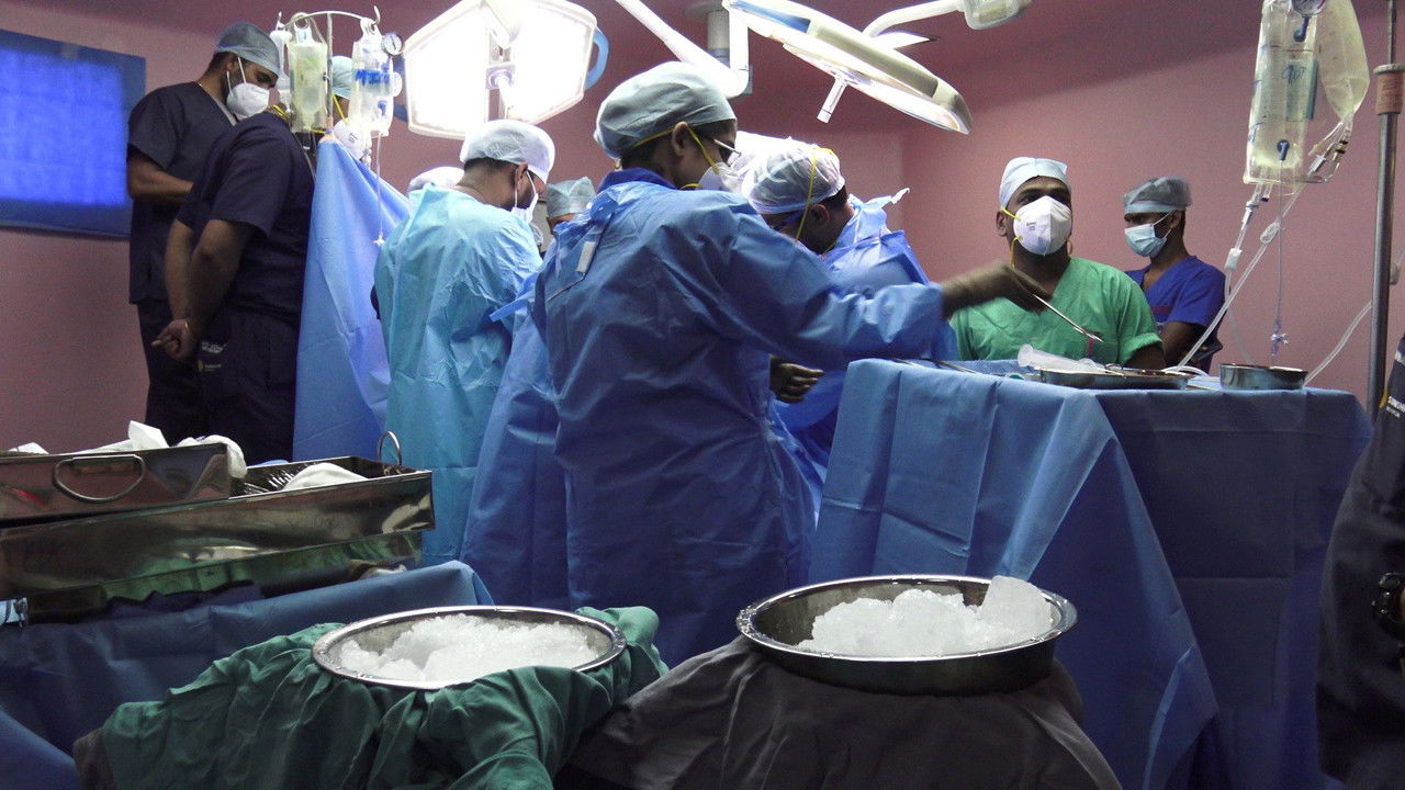 Backdrop image for movie God Vulture and Human