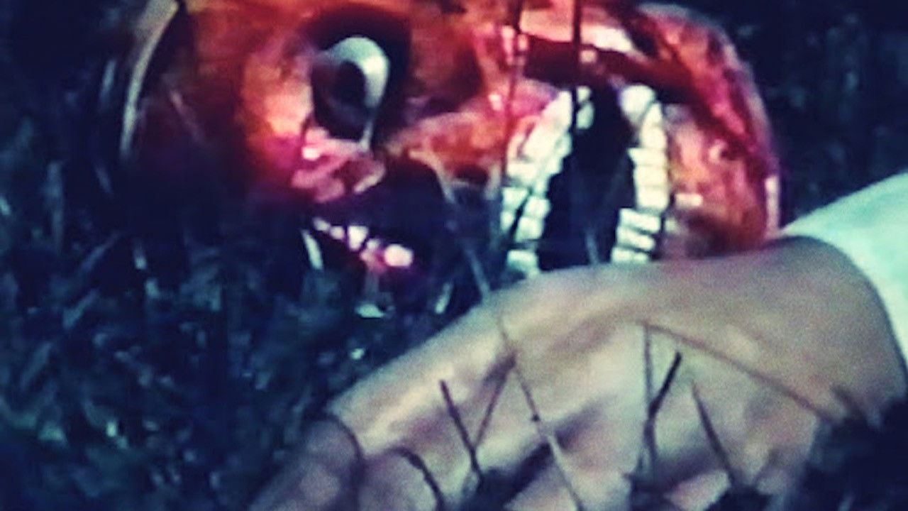 Backdrop image for movie Saurians