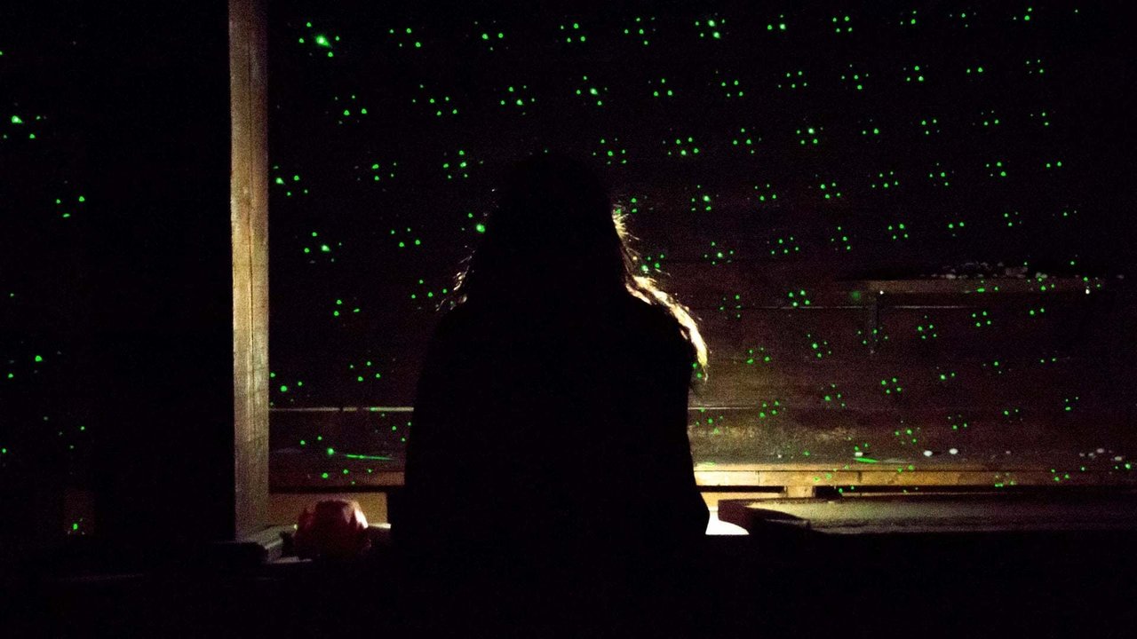 Backdrop image for movie The Disco Shines