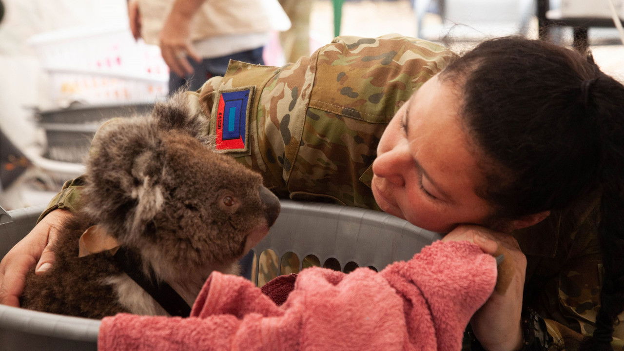 Backdrop image for movie Bushfire Animal Rescue