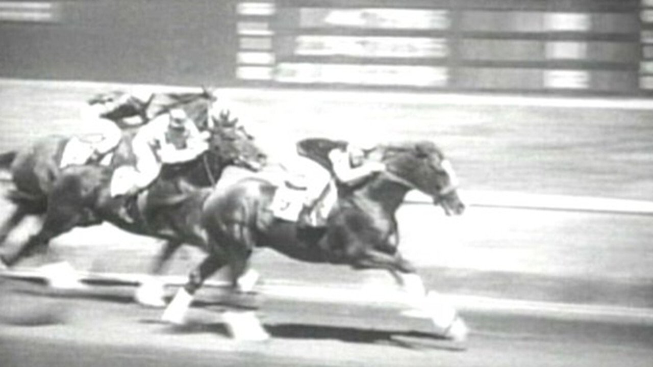 Backdrop image for movie Hollywood Handicap