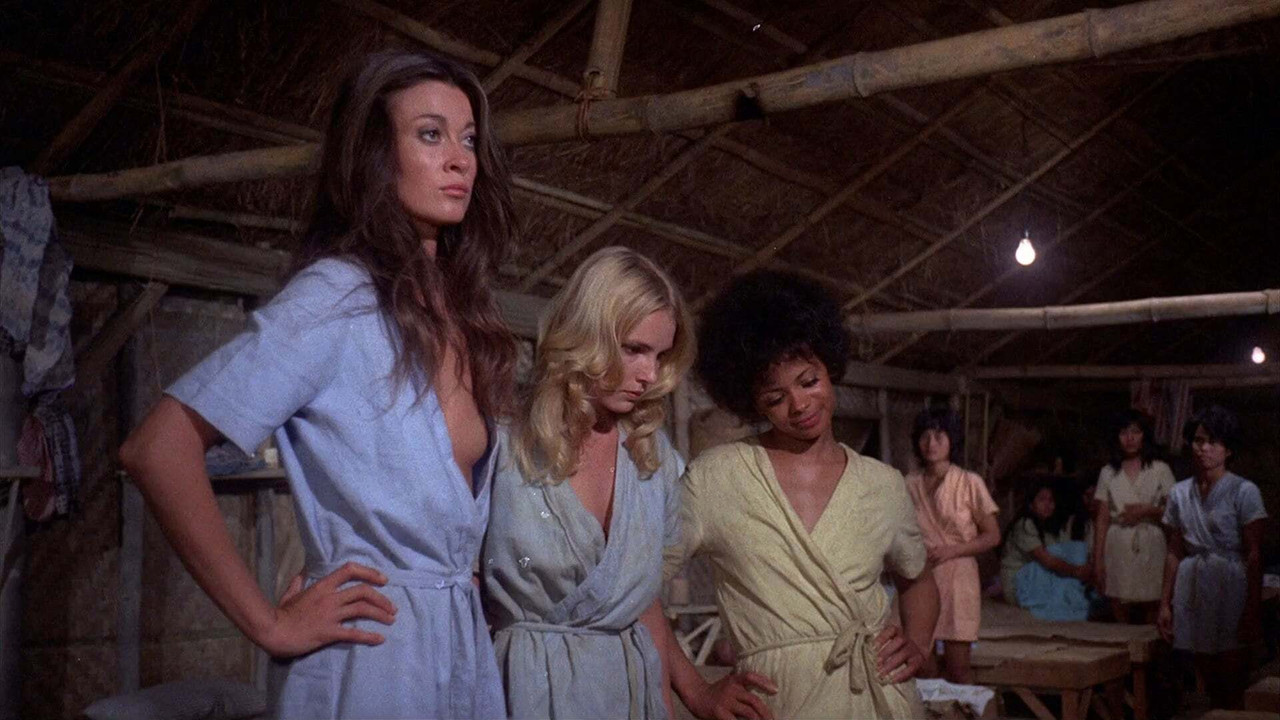 Backdrop image for movie The Big Bird Cage