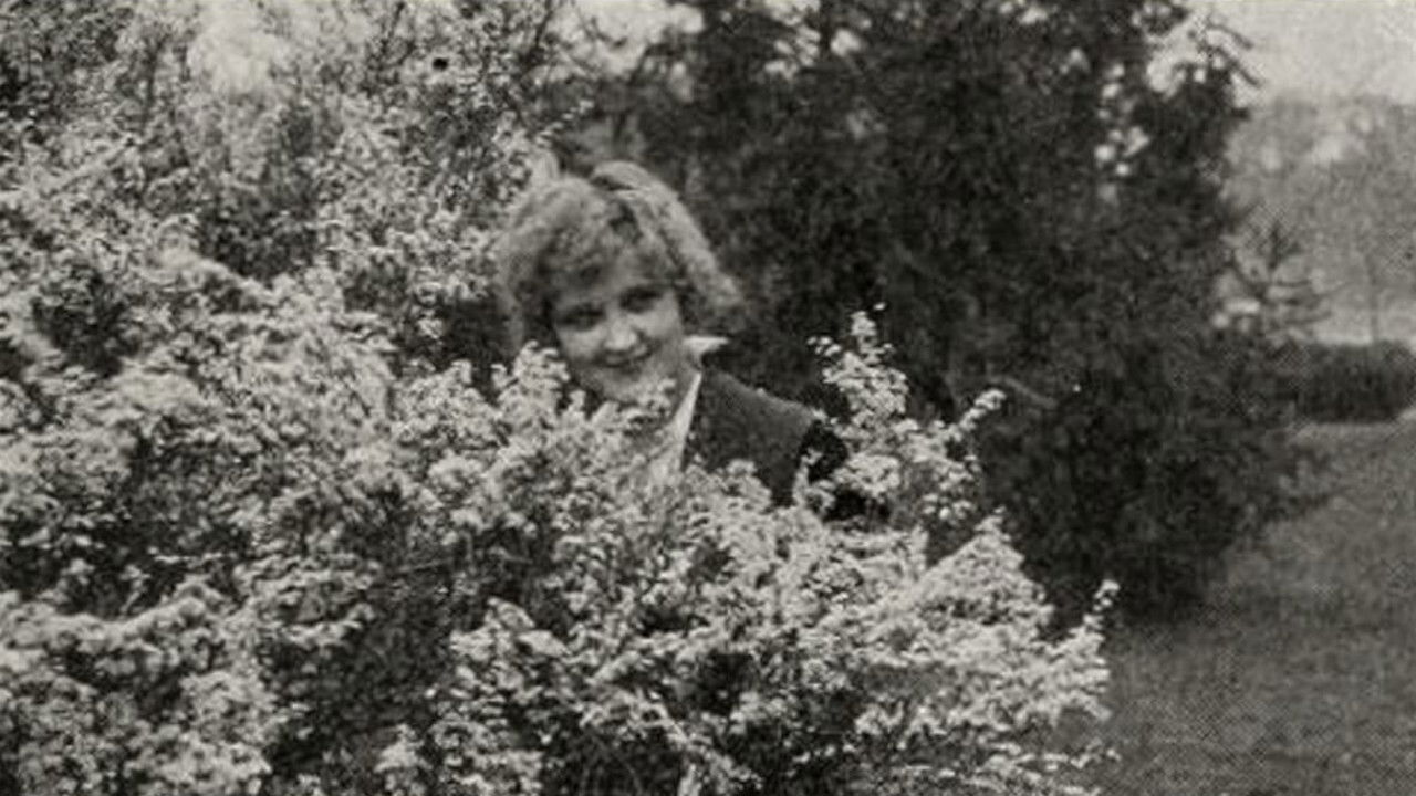 Backdrop image for movie Gambier's Advocate