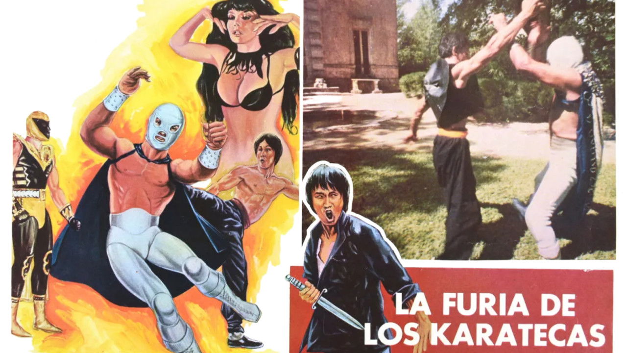 Backdrop image for movie The Fury of the Karate Experts