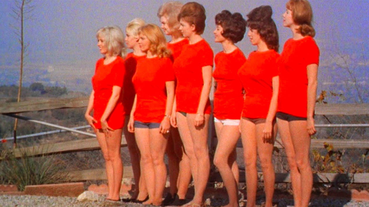 Backdrop image for movie House on Bare Mountain