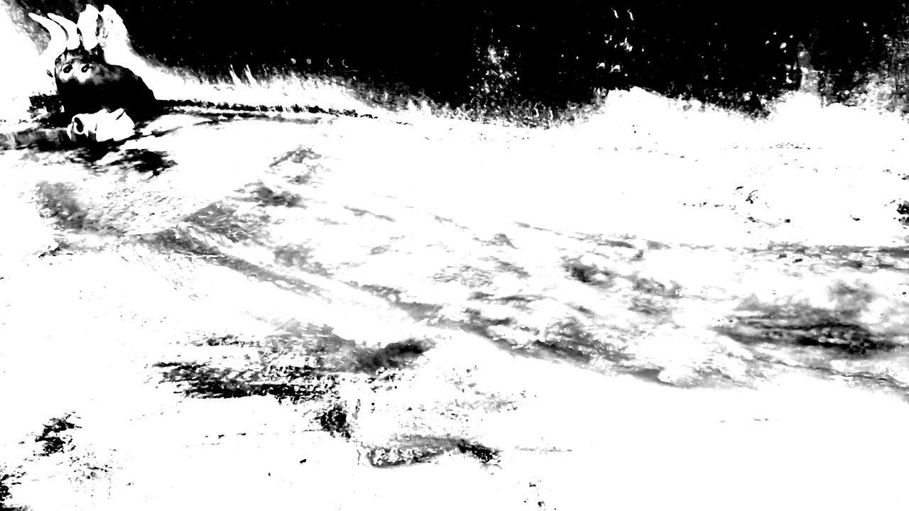 Backdrop image for movie The Death Ox
