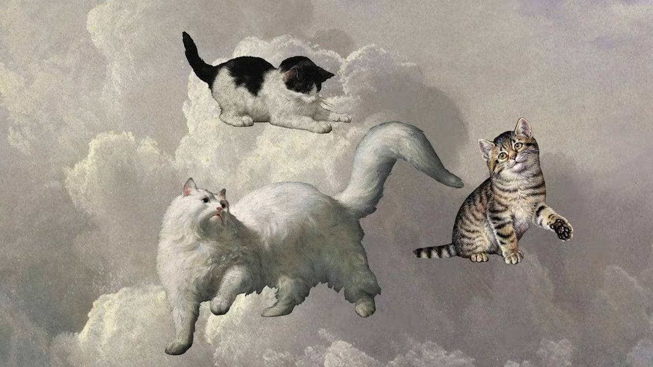 Backdrop image for movie Cats 2