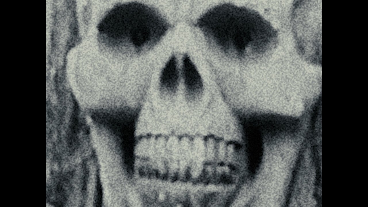 Backdrop image for movie Brain Bucket