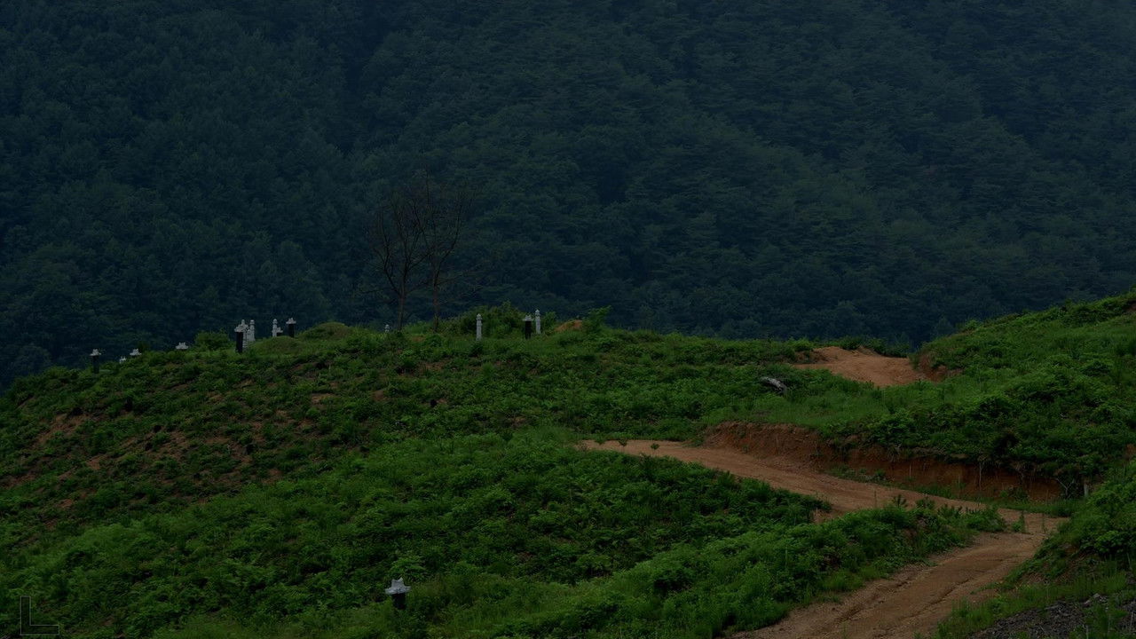 Backdrop image for movie Last Summer