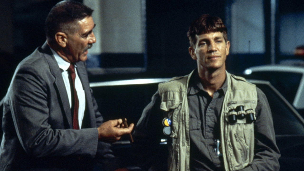 Backdrop image for movie Love Is a Gun