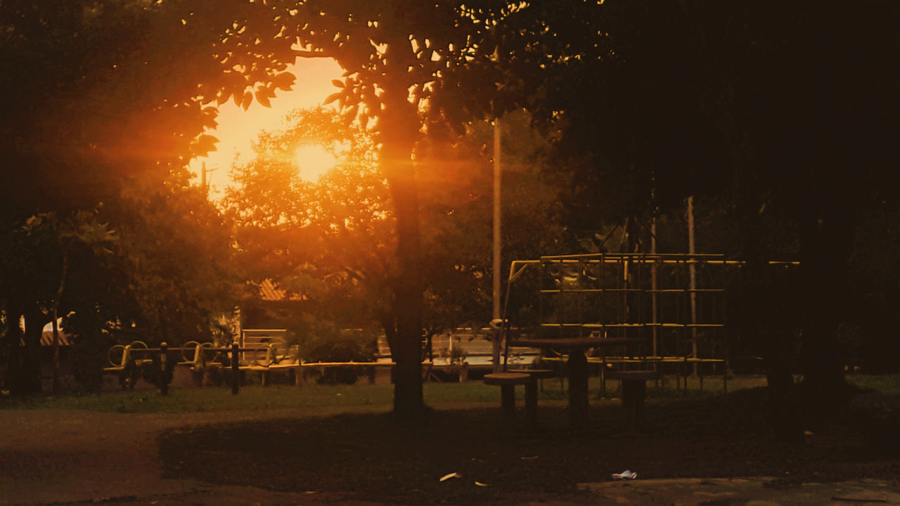 Backdrop image for movie A Necessary Goodbye