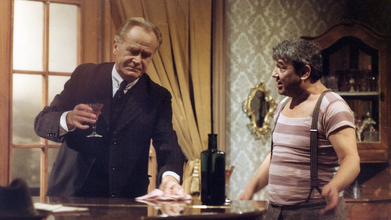 Backdrop image for movie Kamenný orchestr