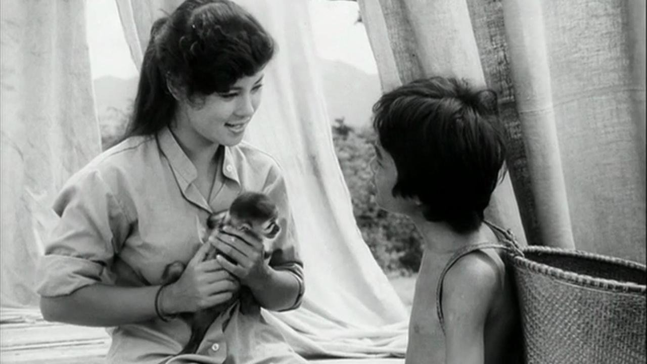 Backdrop image for movie Travelling Circus