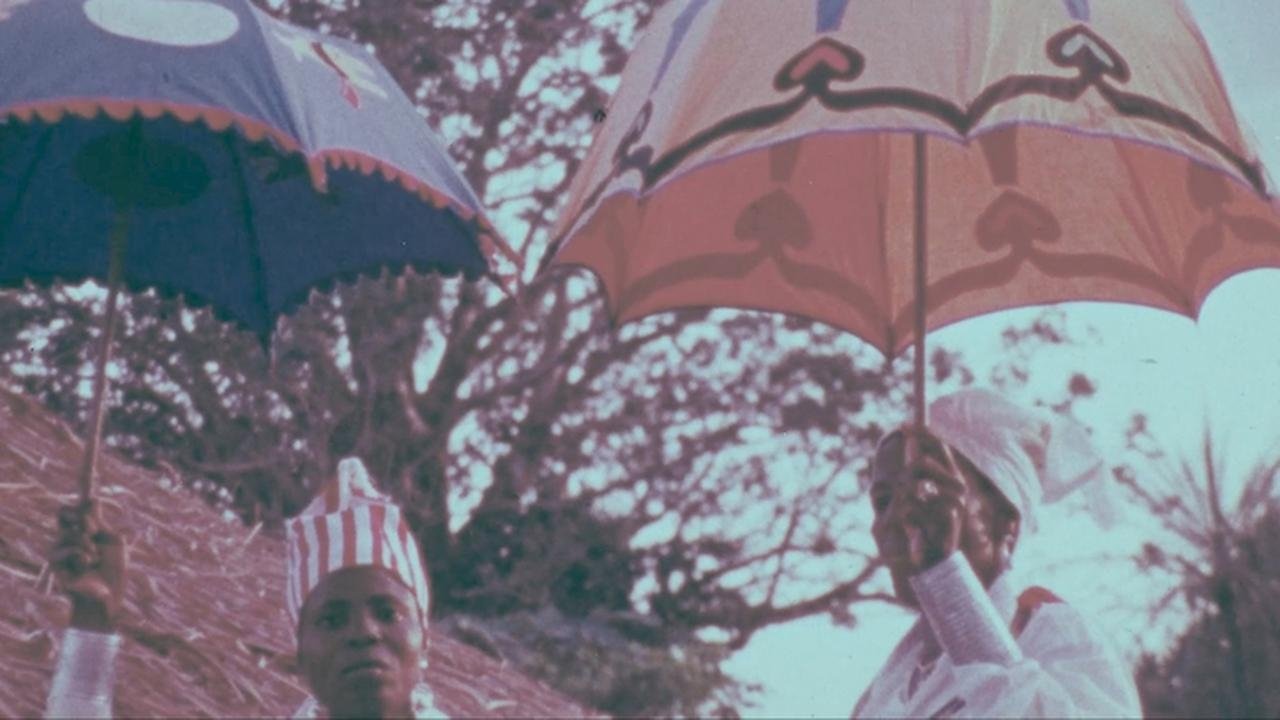 Backdrop image for movie Under the Sign of Voodoo