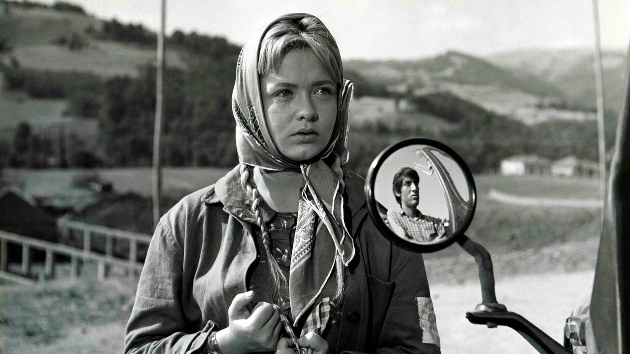 Backdrop image for movie Superfluous