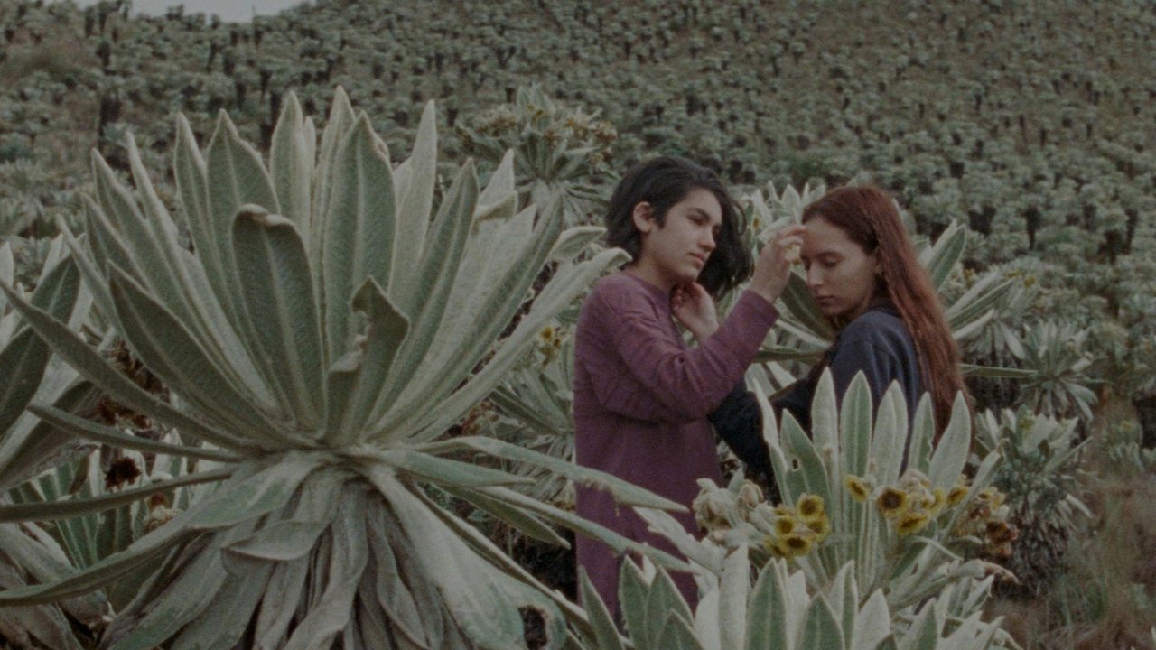 Backdrop image for movie Bird