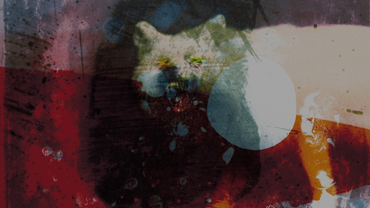 Backdrop image for movie Mogwai: As the Love Continues