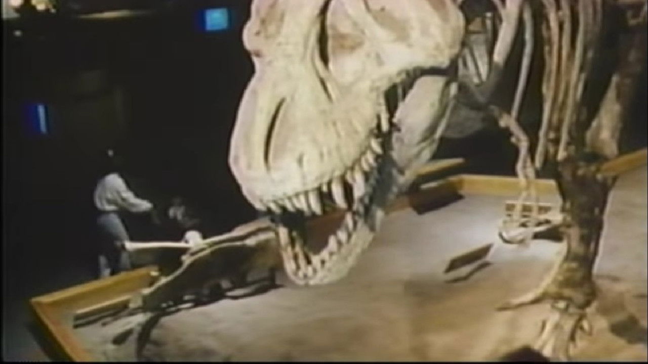 Backdrop image for movie The Real Jurassic Park