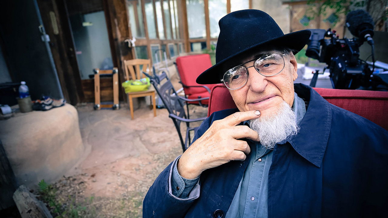 Backdrop image for movie The Vasulka Effect