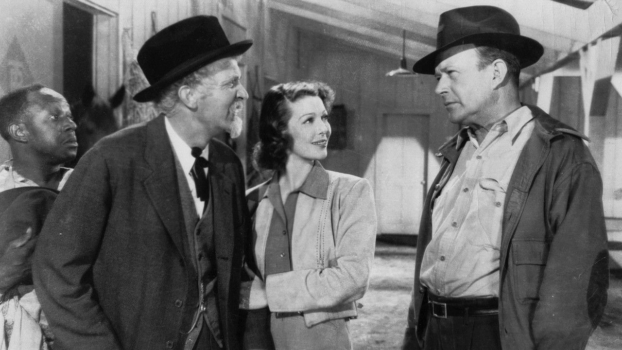 Backdrop image for movie Kentucky