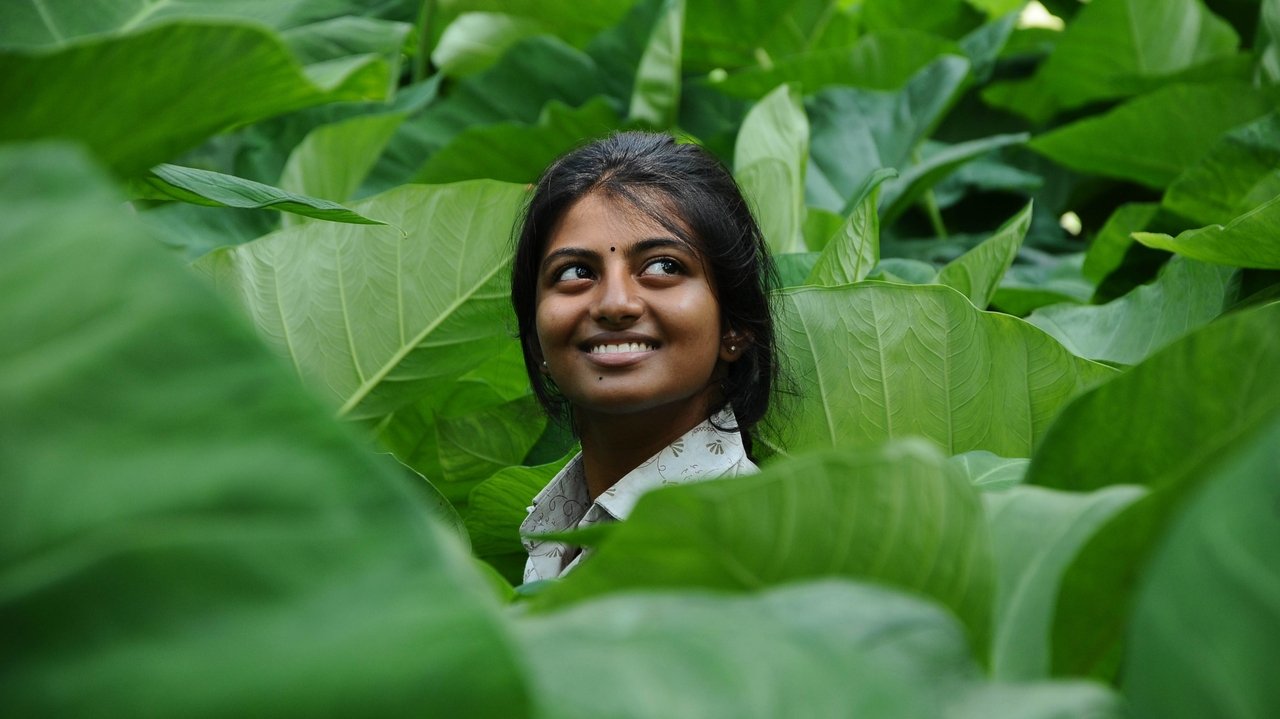 Backdrop image for movie Kayal