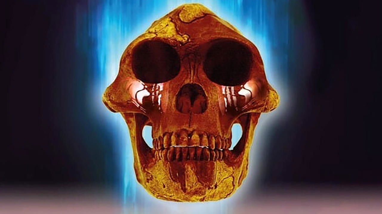 Backdrop image for movie 2.0 Lucy