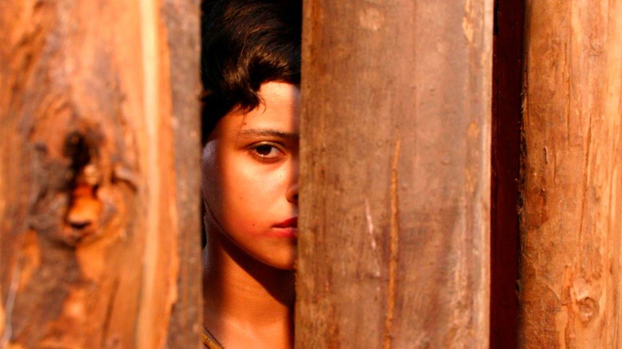 Backdrop image for movie Angels of the Sun