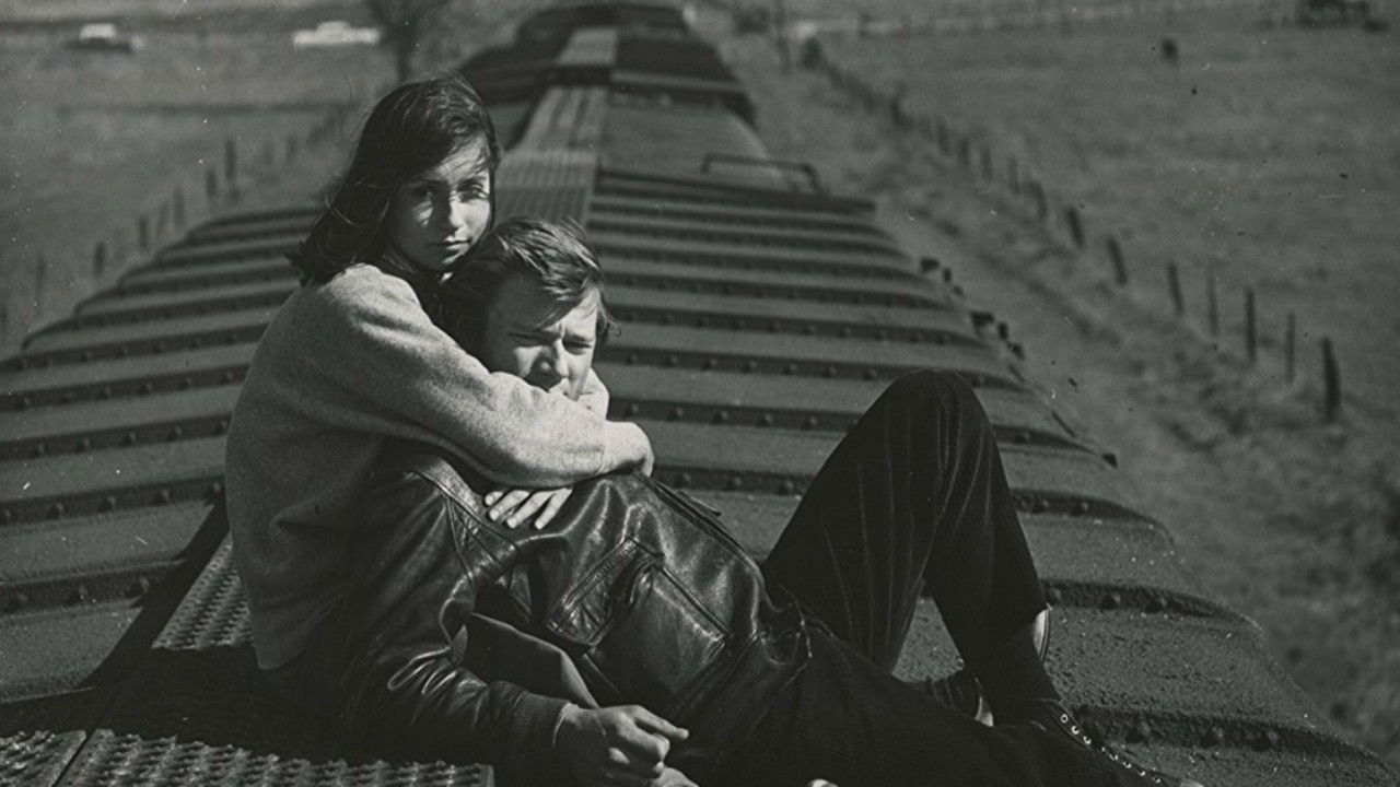 Backdrop image for movie Wild Seed