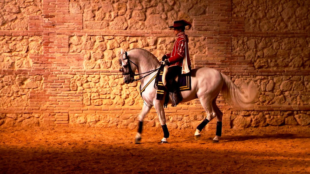 Backdrop image for movie Horse of Kings, Thief of Hearts