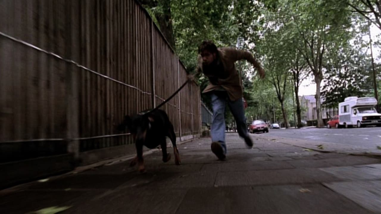 Backdrop image for movie My Wrongs #8245–8249 & 117