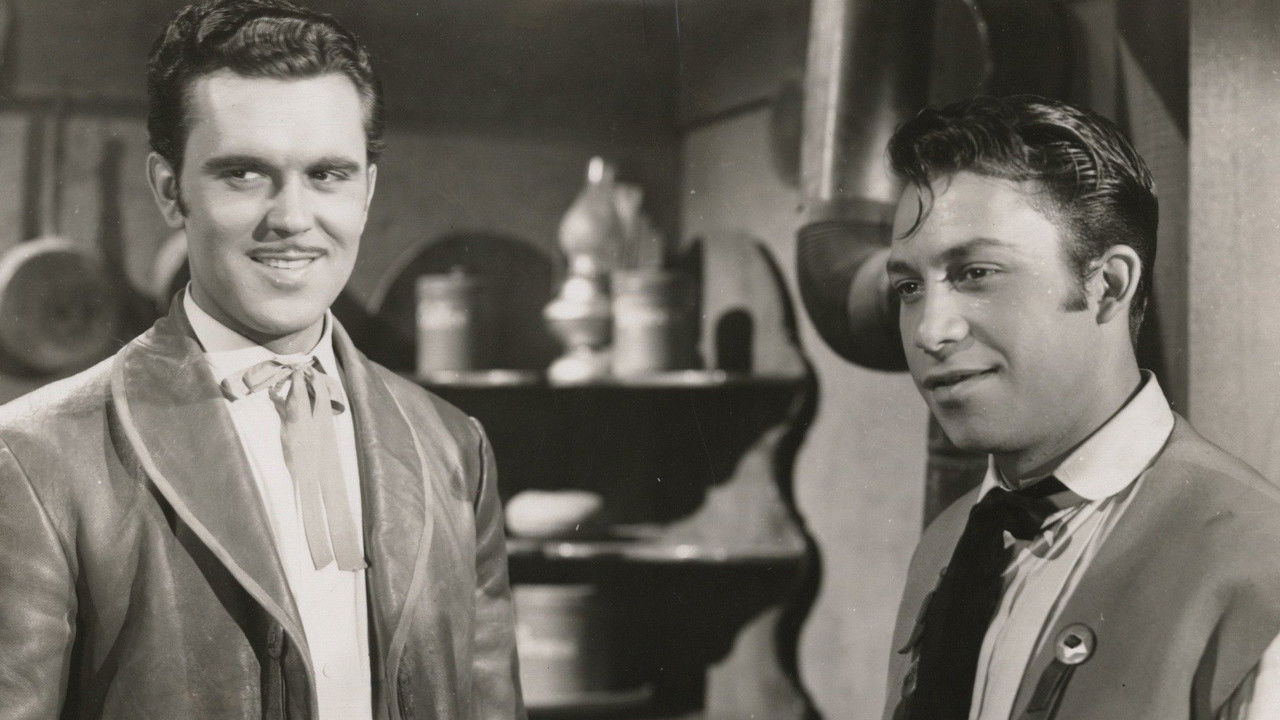 Backdrop image for movie The Adventures of Don Coyote