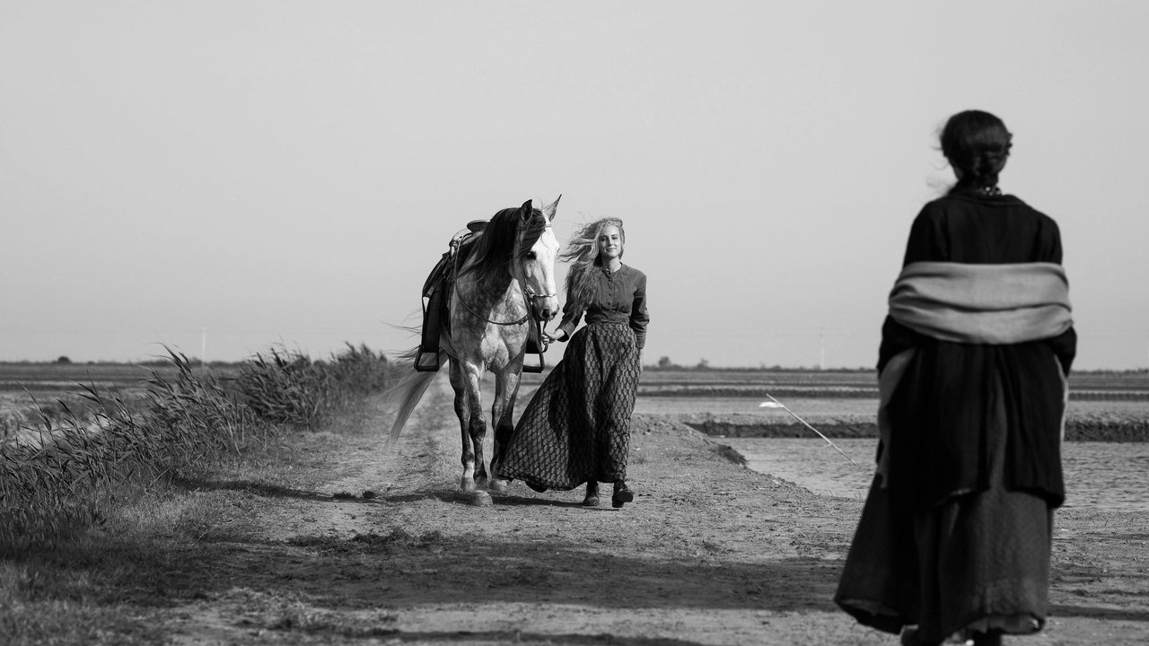 Backdrop image for movie Elisa & Marcela
