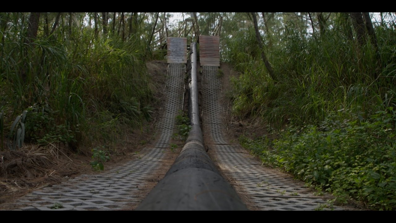Backdrop image for movie Dirt Therapy