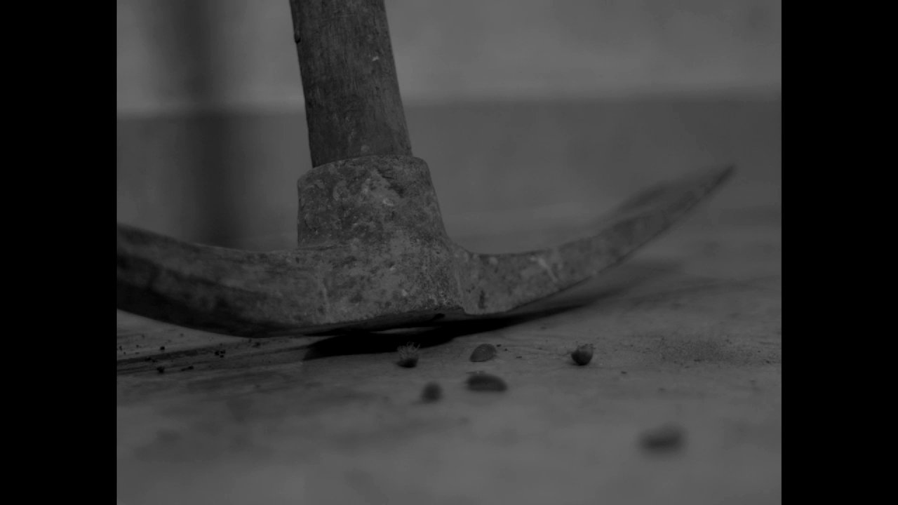 Backdrop image for movie Anhedonia