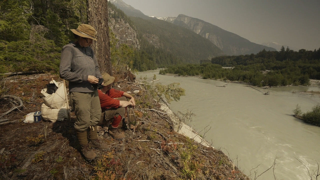 Backdrop image for movie The Mystery Mountain Project