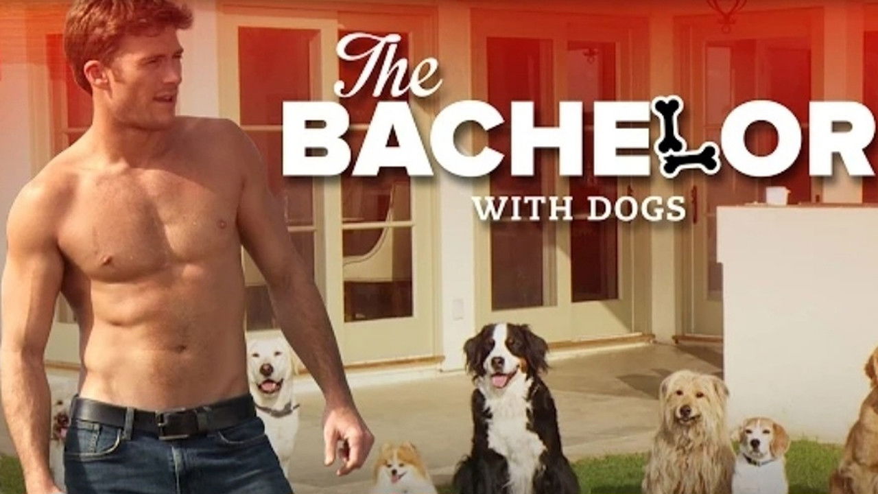 Backdrop image for movie The Bachelor with Dogs and Scott Eastwood