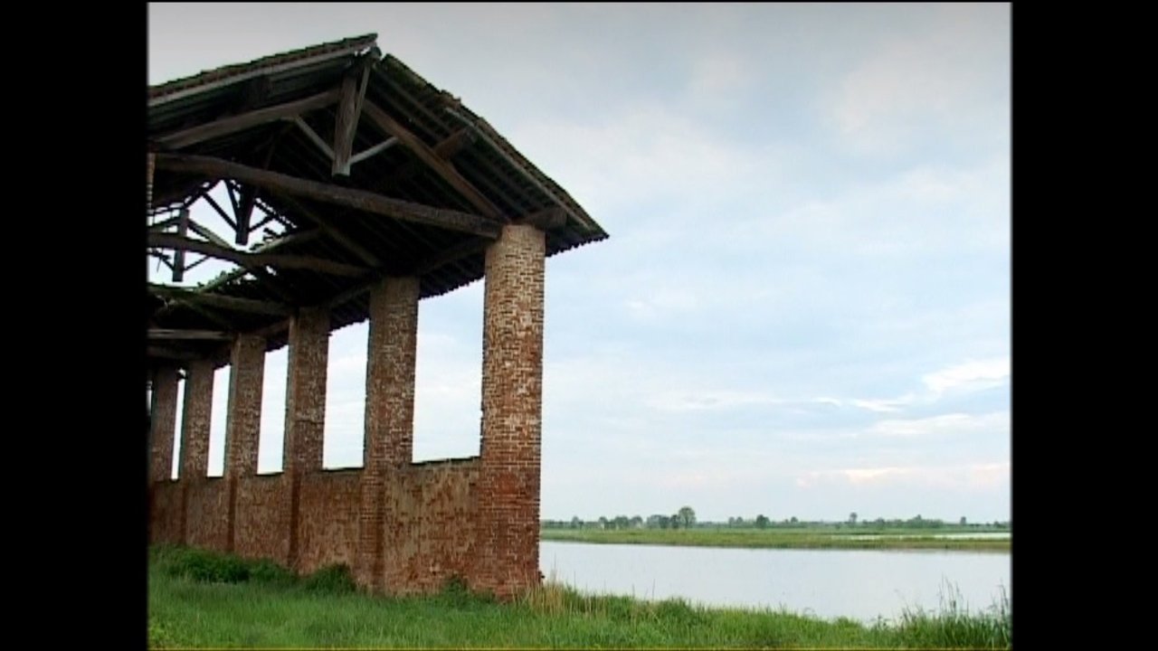 Backdrop image for movie Visioni di case che crollano