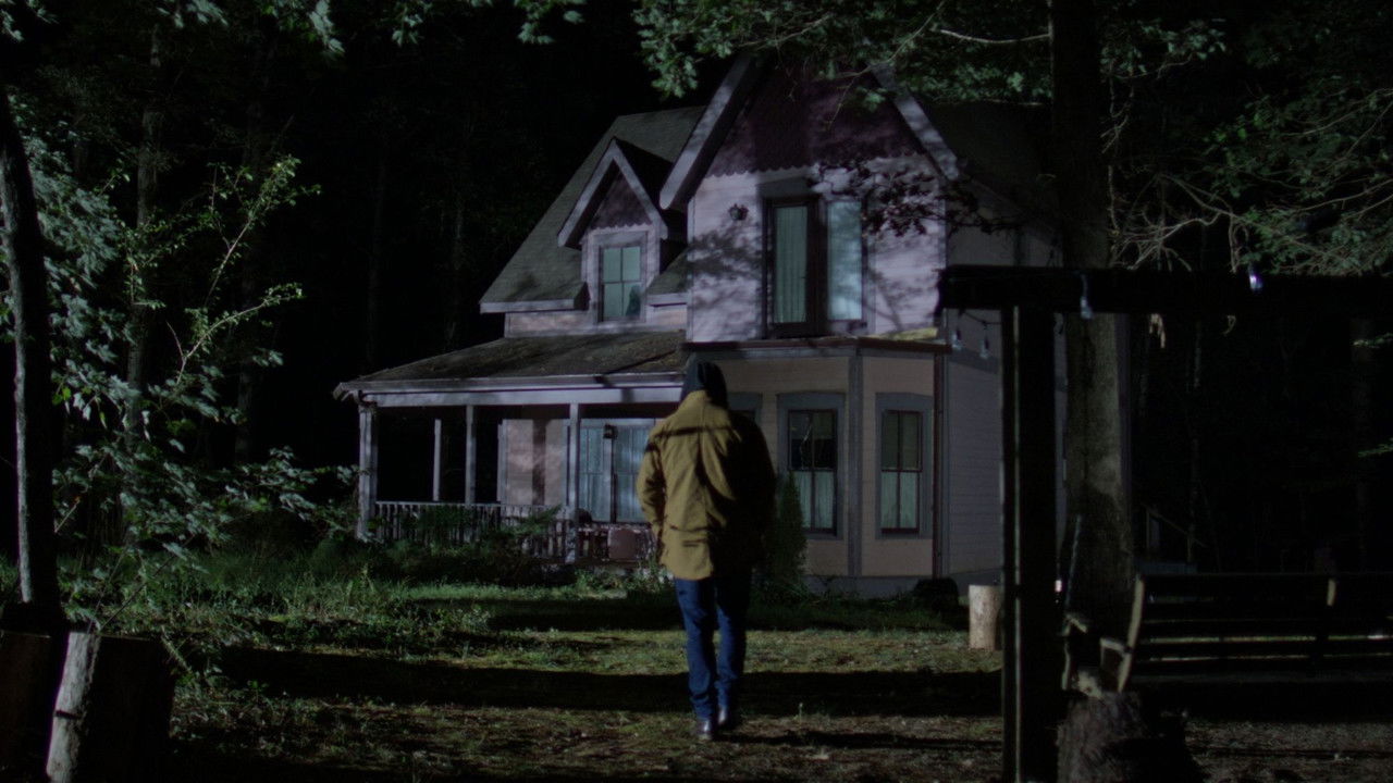 Backdrop image for movie Vestige