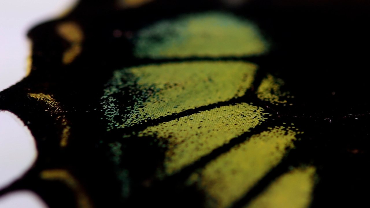 Backdrop image for movie Oh butterfly, what dou you dream of when you flap your wings?