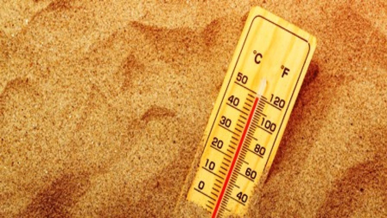 Backdrop image for movie Grosse chaleur