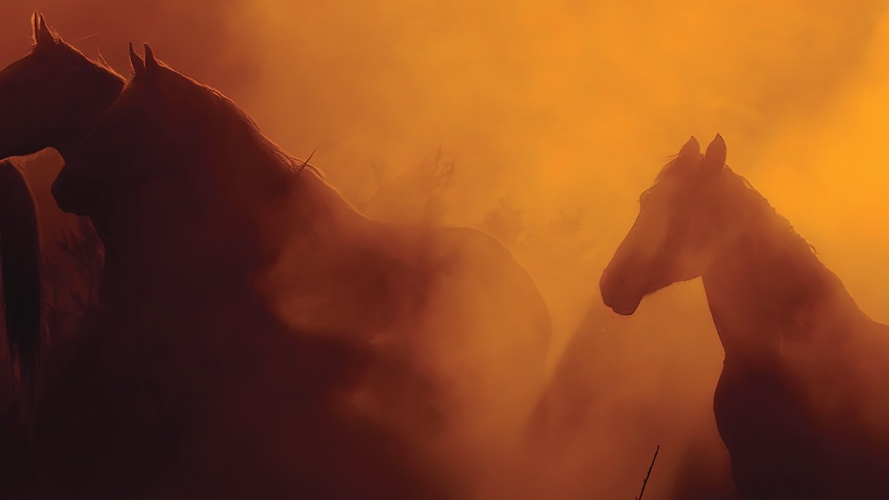 Backdrop image for movie Wild Beauty: Mustang Spirit of the West