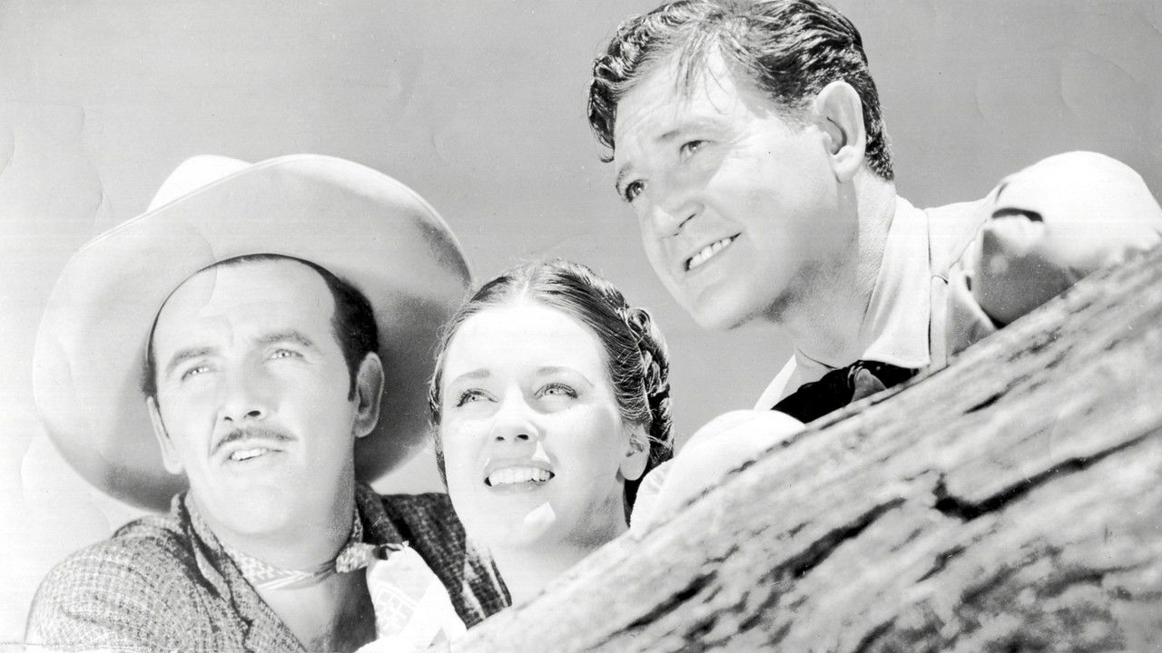 Backdrop image for movie The Roundup
