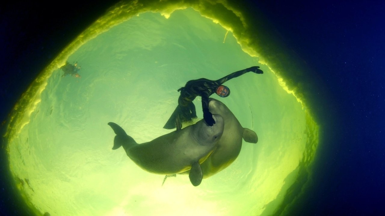 Backdrop image for movie Born to Be Free