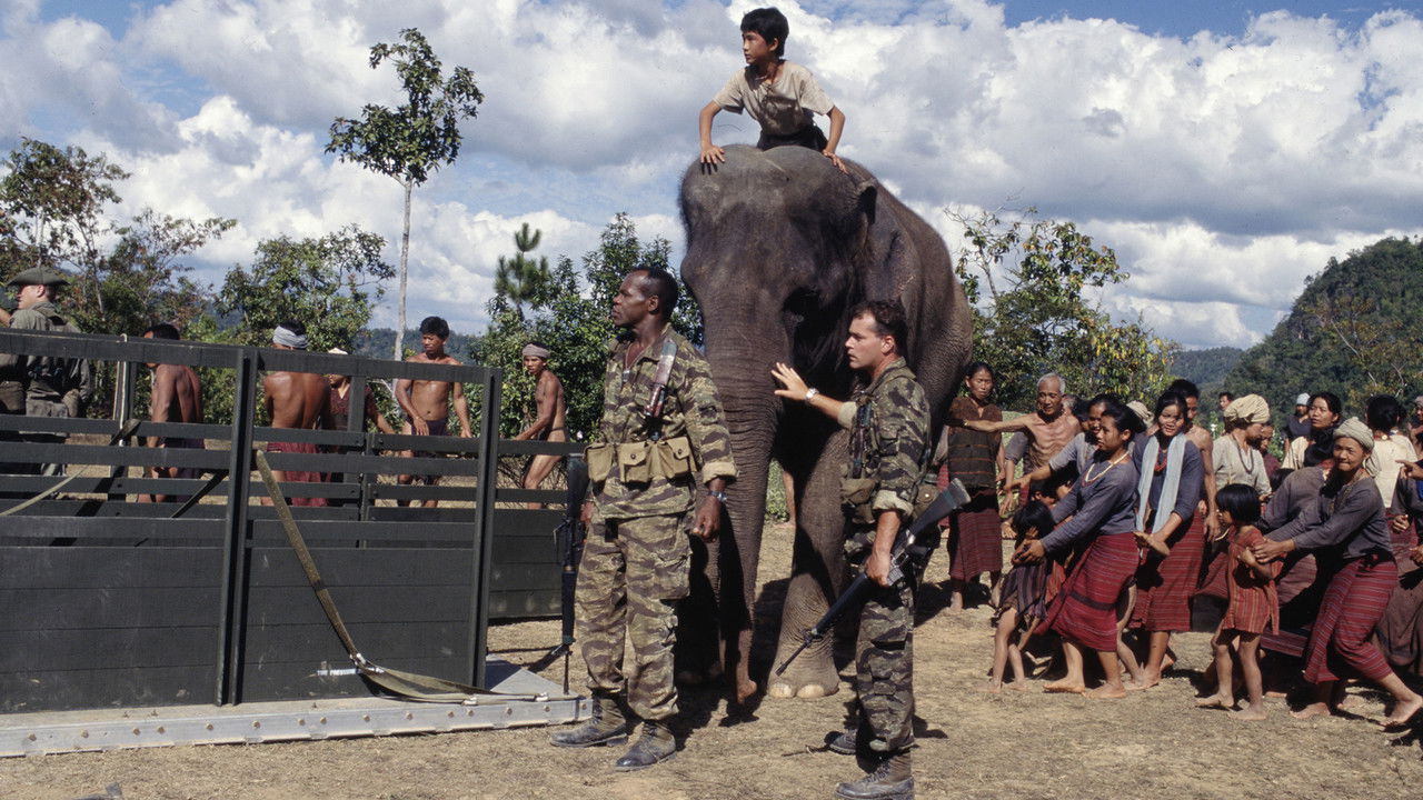Backdrop image for movie Operation Dumbo Drop