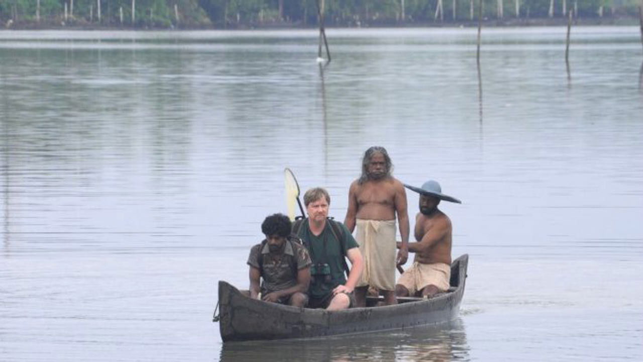 Backdrop image for movie Papilio Buddha