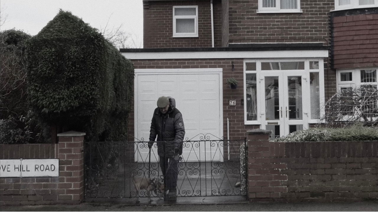 Backdrop image for movie Doreen