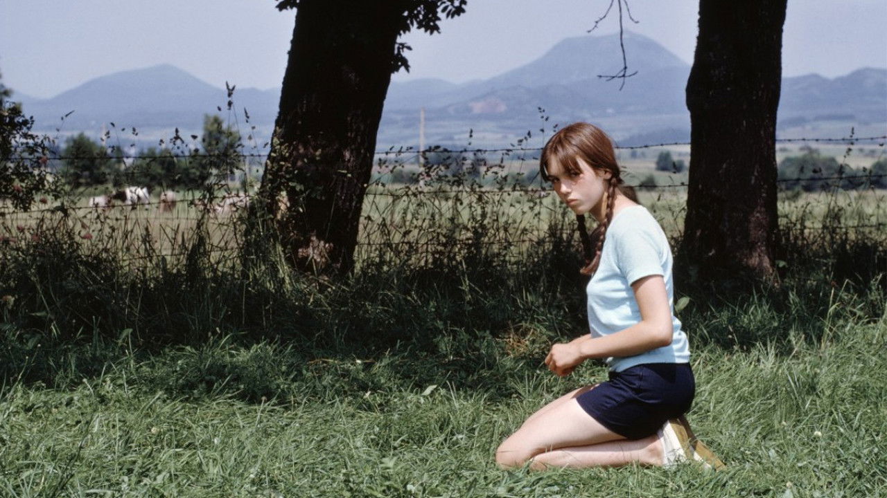 Backdrop image for movie Le Petit Bougnat